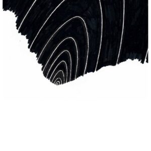 bio_graphics, Der dunle dunkle Wald, Tintenschreiber auf Papier, 21x29cm, 2019