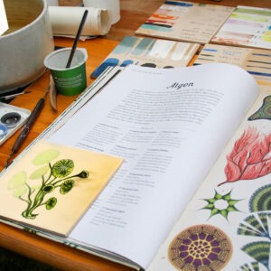 Ausschnitt eines Tisches mit einem aufgeschlagenen Buch, Kacheln mit Farbproben für keramische Glasuren, ein Farbkasten und eine Fliese mit einer noch nicht ganz fertig gestellten Malerei einer Alge. Die aufgeschlagene Buchseite, zeigt ebenfalls Bilder von Algen und einen Text dazu