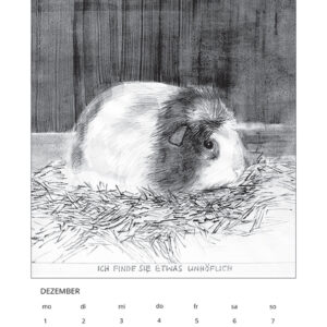 Kalender 2014_Fragen an deutsche und in Deutschland lebende Tiere, Dezember, Tuschezeichnung/Digitaldruck, 21x29cm